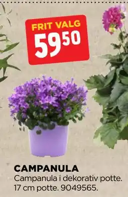 jem & fix CAMPANULA tilbud
