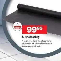 Ukrudtsdug