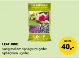 XL-BYG LEAF Jord tilbud