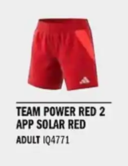 Sport Direct ADIDAS Short TIRO24 C M SHOW Team power red 2 app solar red tilbud