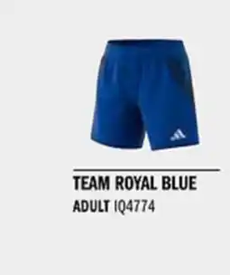 Sport Direct ADIDAS Short TIRO24 C M SHOW Team royal blue tilbud