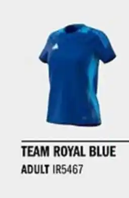 Sport Direct ADIDAS Jersey TIR024 C TR JSY W Team royal blue tilbud