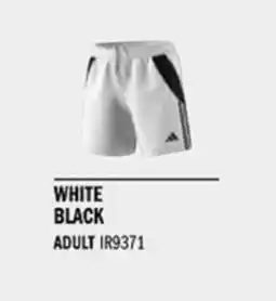 Sport Direct ADIDAS Short TIRO24 SHO W White black tilbud