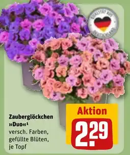 REWE DE Zauberglöckchen Duo tilbud