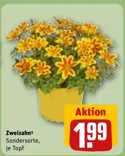 REWE DE Zweizahn tilbud