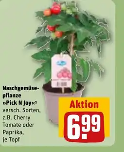 REWE DE Naschgemüse- pflanze Pick N Joy tilbud