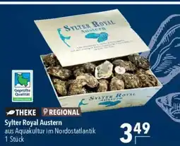 Citti Sylter Royal Austern tilbud