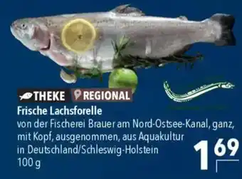 Citti Frische Lachsforelle tilbud