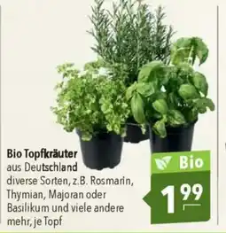 Citti Bio Topfkräuter aus Deutschland tilbud