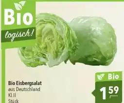 Citti Bio Eisbergsalat tilbud