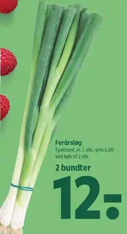 Coop 365 Forårsløg tilbud