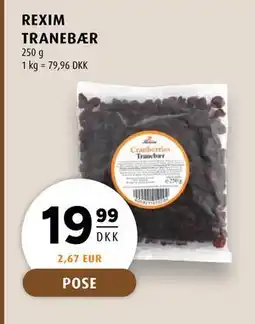 Scandinavian Park REXIM TRANEBÆR tilbud