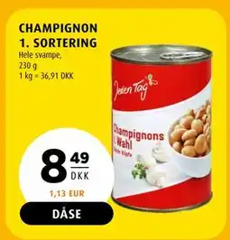 Scandinavian Park CHAMPIGNON 1. SORTERING tilbud