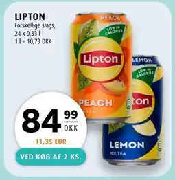 Scandinavian Park LIPTON tilbud