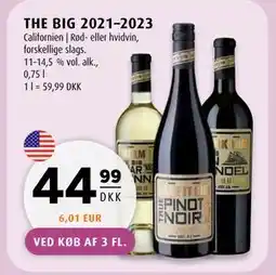 Scandinavian Park THE BIG 2021–2023 tilbud