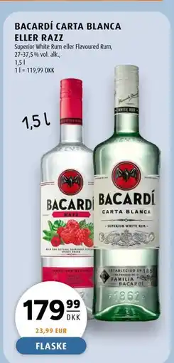 Scandinavian Park BACARDÍ CARTA BLANCA ELLER RAZZ tilbud