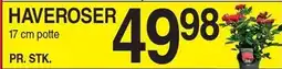 ABC Lavpris Haveroser tilbud