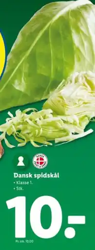Lidl Dansk spidskål tilbud