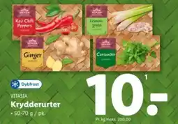 Lidl VITASIA Krydderurter tilbud