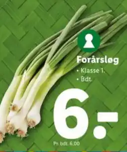Lidl Forårsløg tilbud