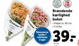 Lidl Brændende kærlighed buket tilbud