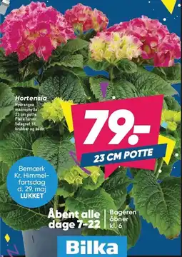 Bilka Hortensia tilbud