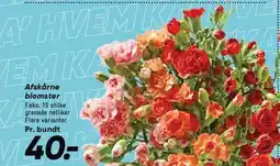 Bilka Afskårne blomster tilbud