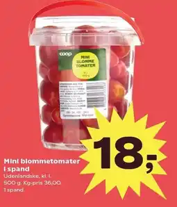 Kvickly Mini blommetomater i spand tilbud