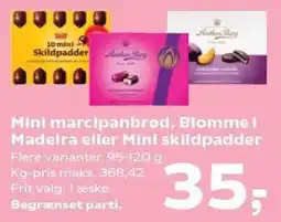 Kvickly Mini marcipanbrød, Blomme i Madeira eller Mini skildpadder tilbud