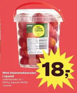 SuperBrugsen Mini blommetomater tilbud