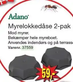 Harald Nyborg Myrelokkedåse 2-pak tilbud