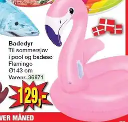 Harald Nyborg Badedyr tilbud