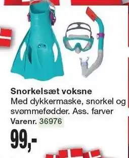 Harald Nyborg Snorkelsæt voksne tilbud