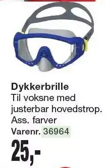 Harald Nyborg Dykkerbrille tilbud