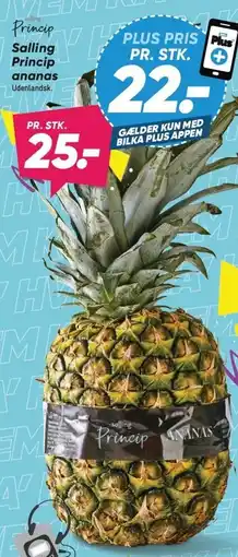 Bilka Salling Princip ananas tilbud
