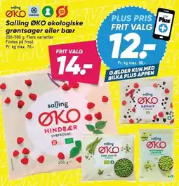 Bilka Salling ØKO økologiske grøntsager eller bær tilbud