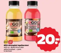 Netto OGO økologisk ingefærshot tilbud