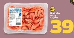 Netto Skalrejer tilbud