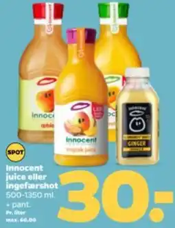 Netto Innocent juice eller ingefærshot tilbud