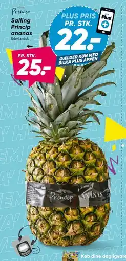 Bilka Salling Princip ananas tilbud