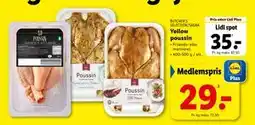 Lidl Yellow poussin tilbud