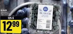 Løvbjerg GESTUS BLÅBÆR tilbud