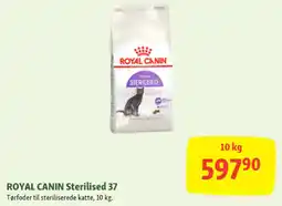 Maxi Zoo ROYAL CANIN Sterilised 37 tilbud