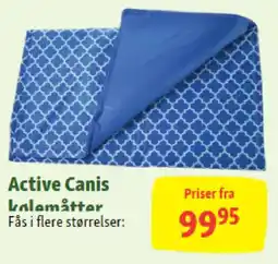 Maxi Zoo Active canis kalemåtter tilbud