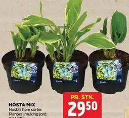 jem & fix HOSTA MIX tilbud