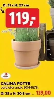CALIMA POTTE