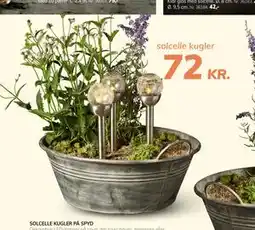 Daells Bolighus SOLCELLE KUGLER PÅ SPYD tilbud