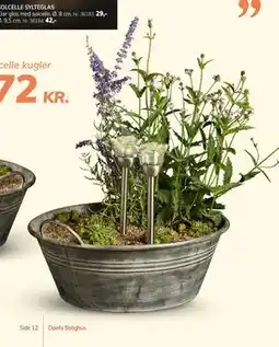 Daells Bolighus SOLCELLE BLOMST PÅ SPYD tilbud