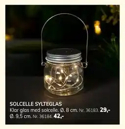 Daells Bolighus SOLCELLE SYLTEGLAS tilbud