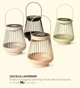Daells Bolighus SOLCELLE LANTERNER tilbud